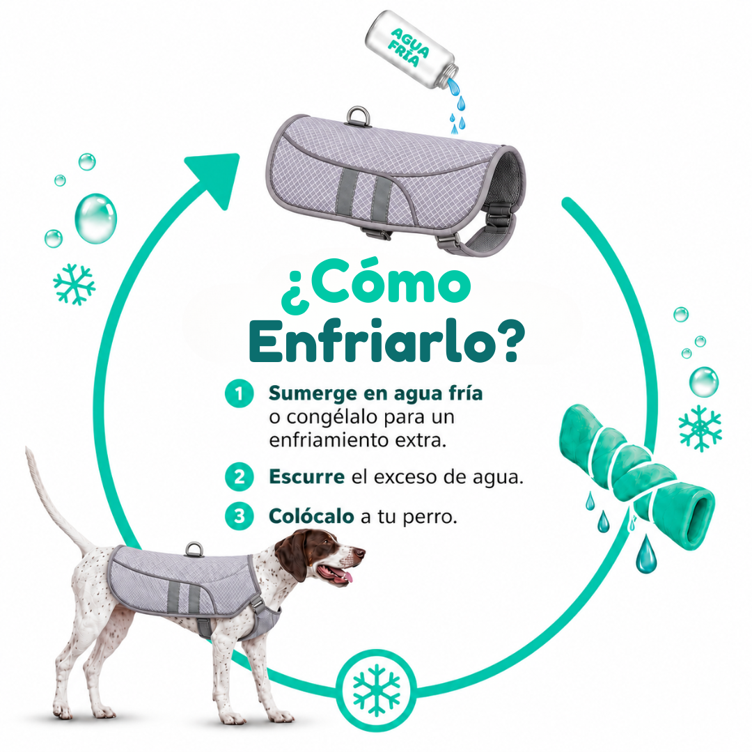 Chaleco PawMotion™ | Tu perro fresco y seguro este verano