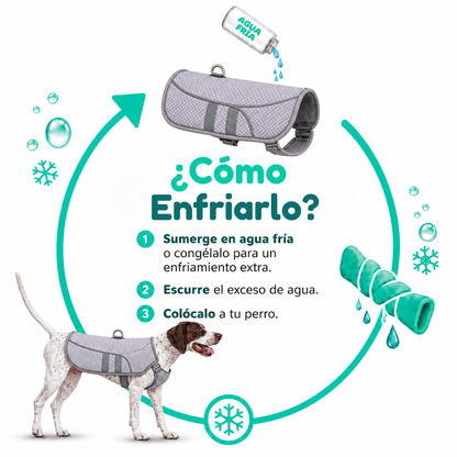 Chaleco PawMotion™ | Tu perro fresco y seguro este verano