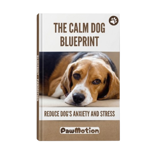 The Calm Dog Blueprint