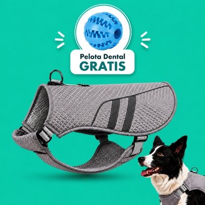 Chaleco PawMotion™ | Tu perro fresco y seguro este verano