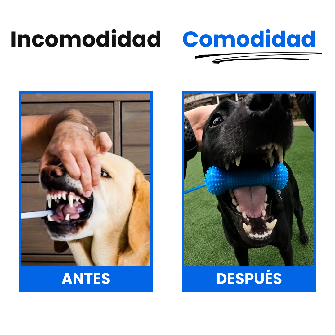 PawMotion™ BocaGrip Dental para Perros