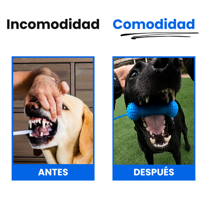 PawMotion™ BocaGrip Dental para Perros