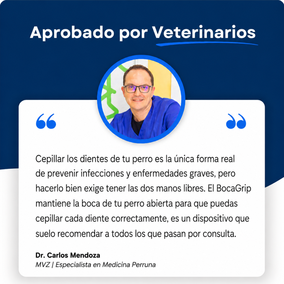 PawMotion™ BocaGrip Dental para Perros