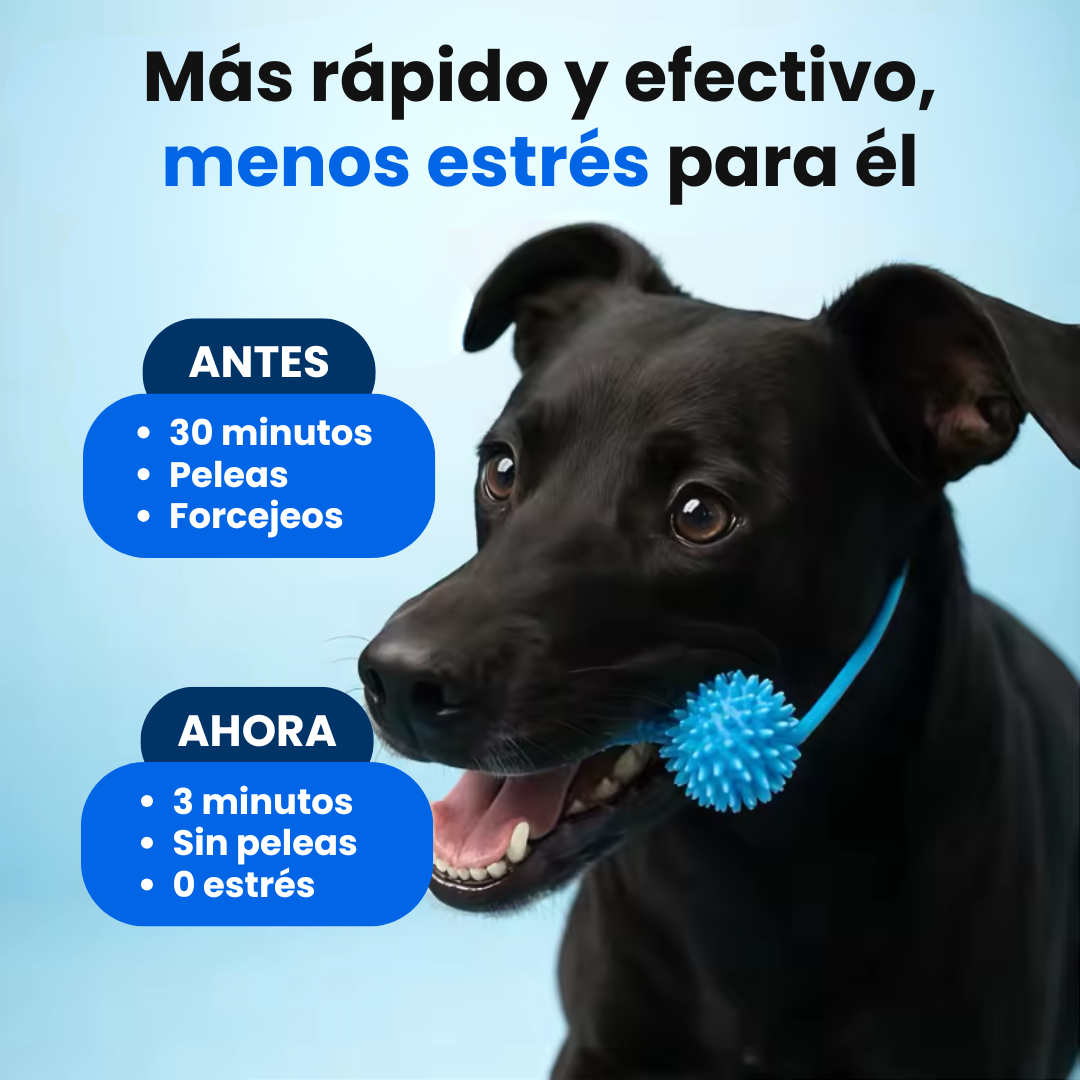PawMotion™ BocaGrip Dental para Perros
