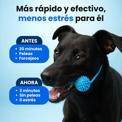 PawMotion™ BocaGrip Dental para Perros