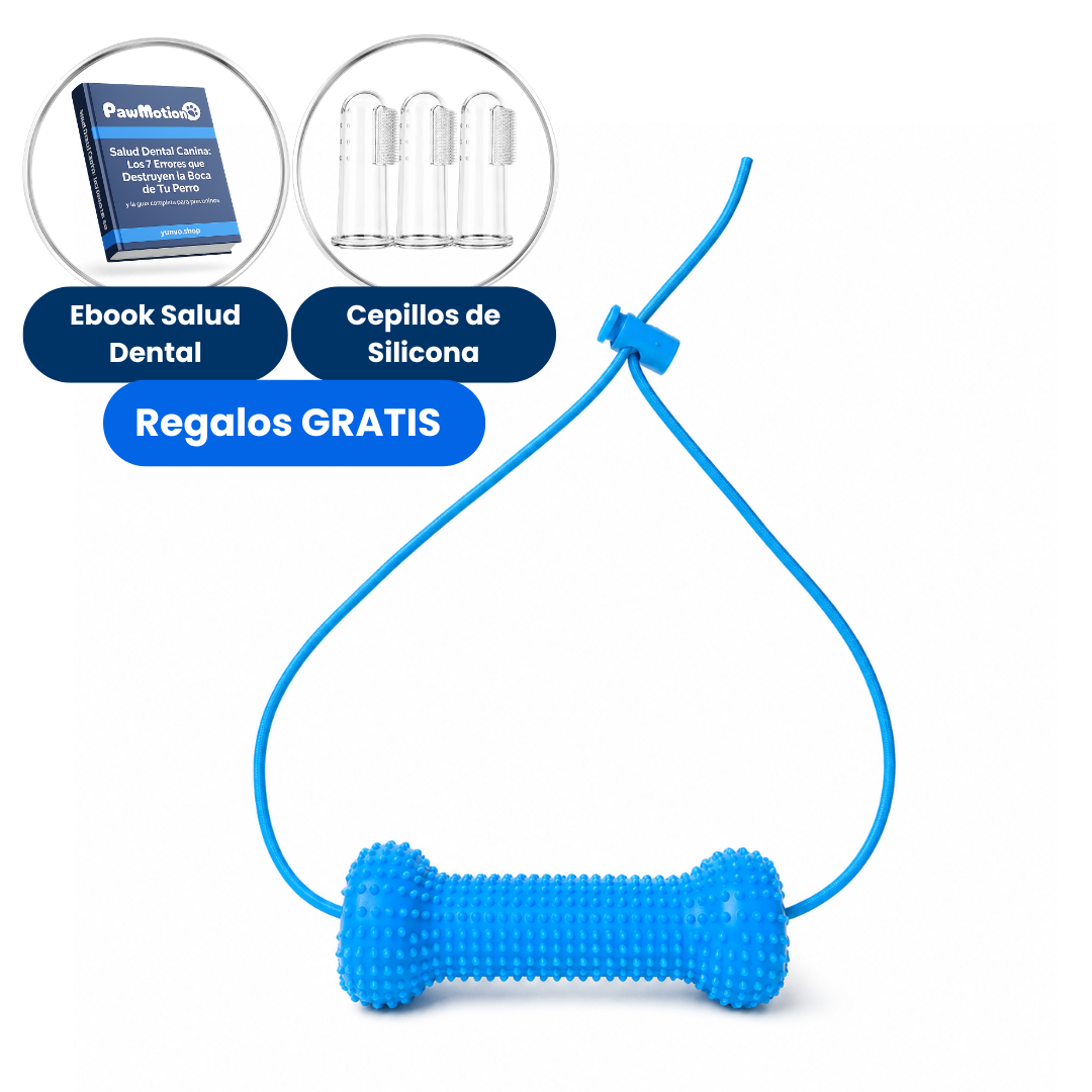PawMotion™ BocaGrip Dental para Perros